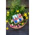 33321 _duopack_pro_maminku.jpg | © SONNENTOR