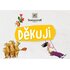 Pohlednice Děkuji